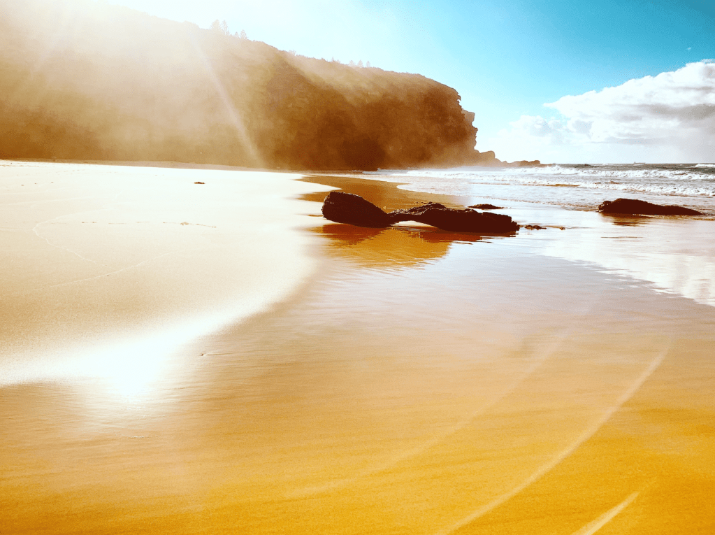 The AI Generator is not&nbsp;Art